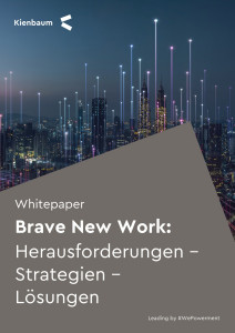 Brave New Work