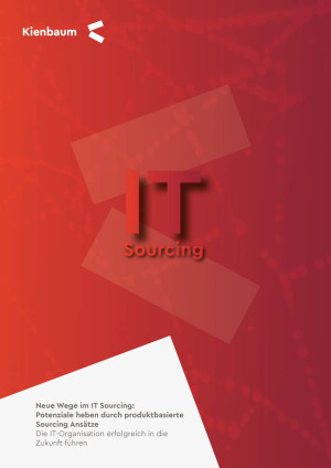 Neue Wege im IT Sourcing