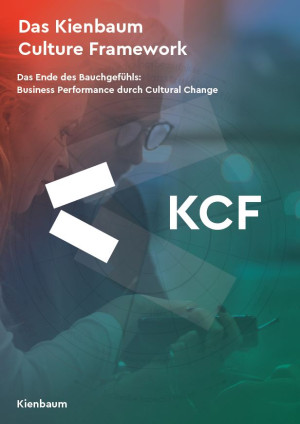 Das Kienbaum Culture Framework