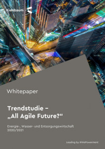 Whitepaper Trendstudie „All Agile Future?“  Energie-, Wasser- und Entsorgungswirtschaft