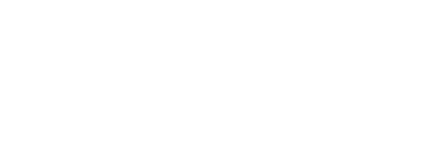 Brave New Work - Brave Leadership 2022