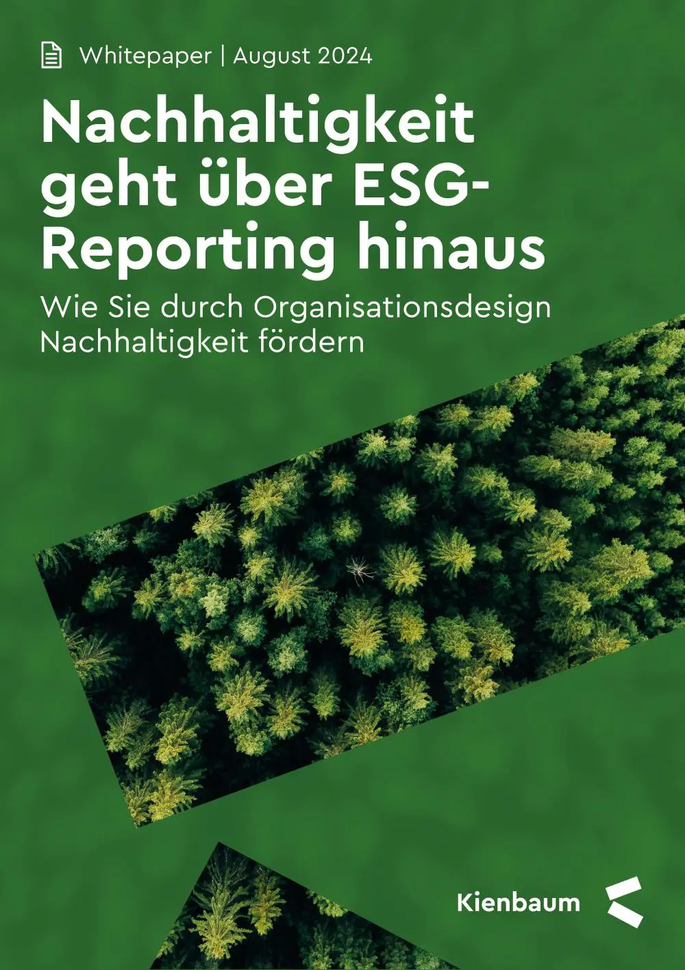 Whitepaper Nachhaltigkeit geht über ESG-Reporting hinaus - Organisationsdesign