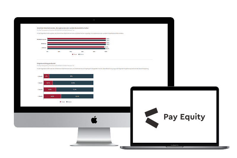 Screenshot Balkendiagramm Pay Equity Tool plus Logo Kienbaum