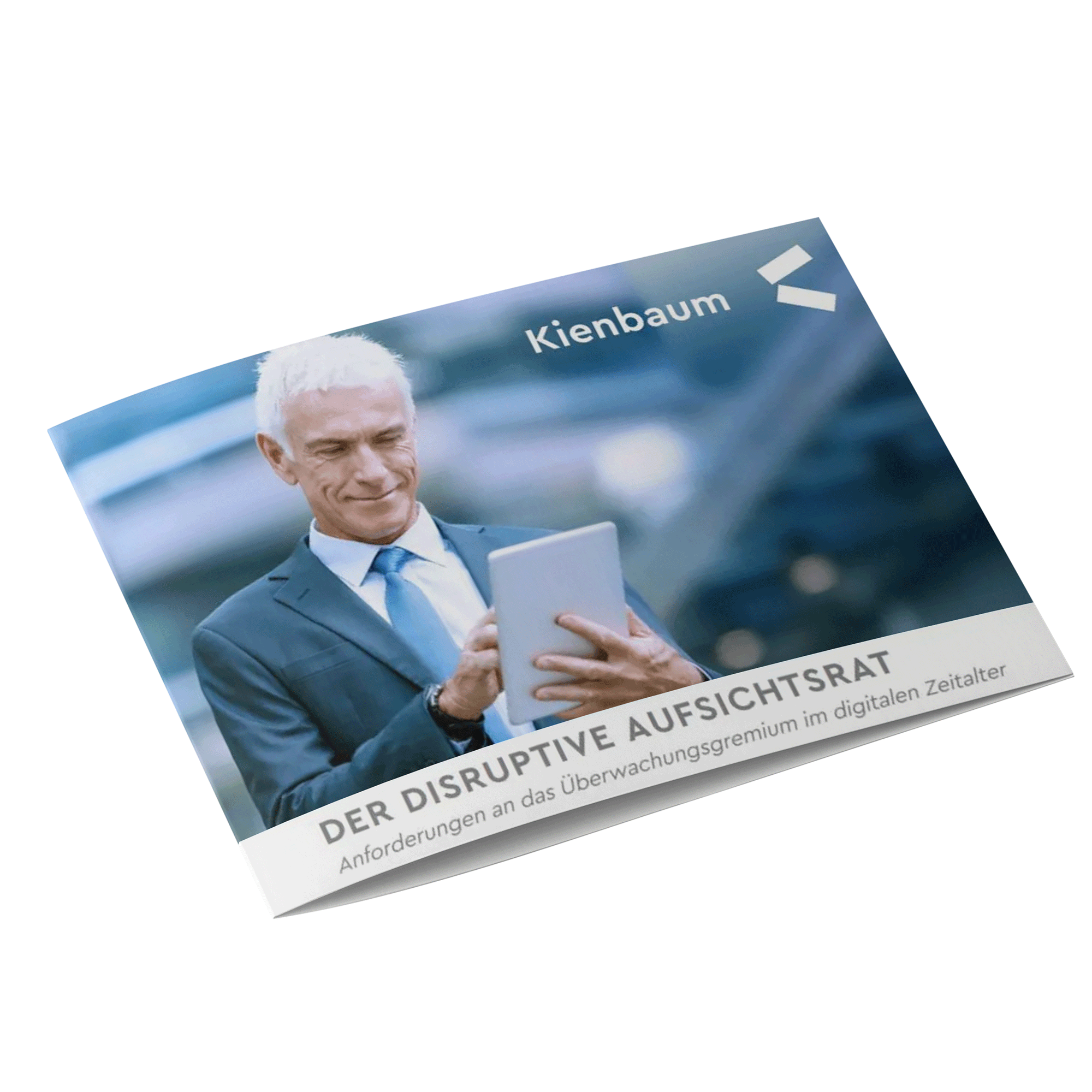 der-disruptive-aufsichtsrat-Mock-up-2_perspective-view der disruptive Aufsichtsrat