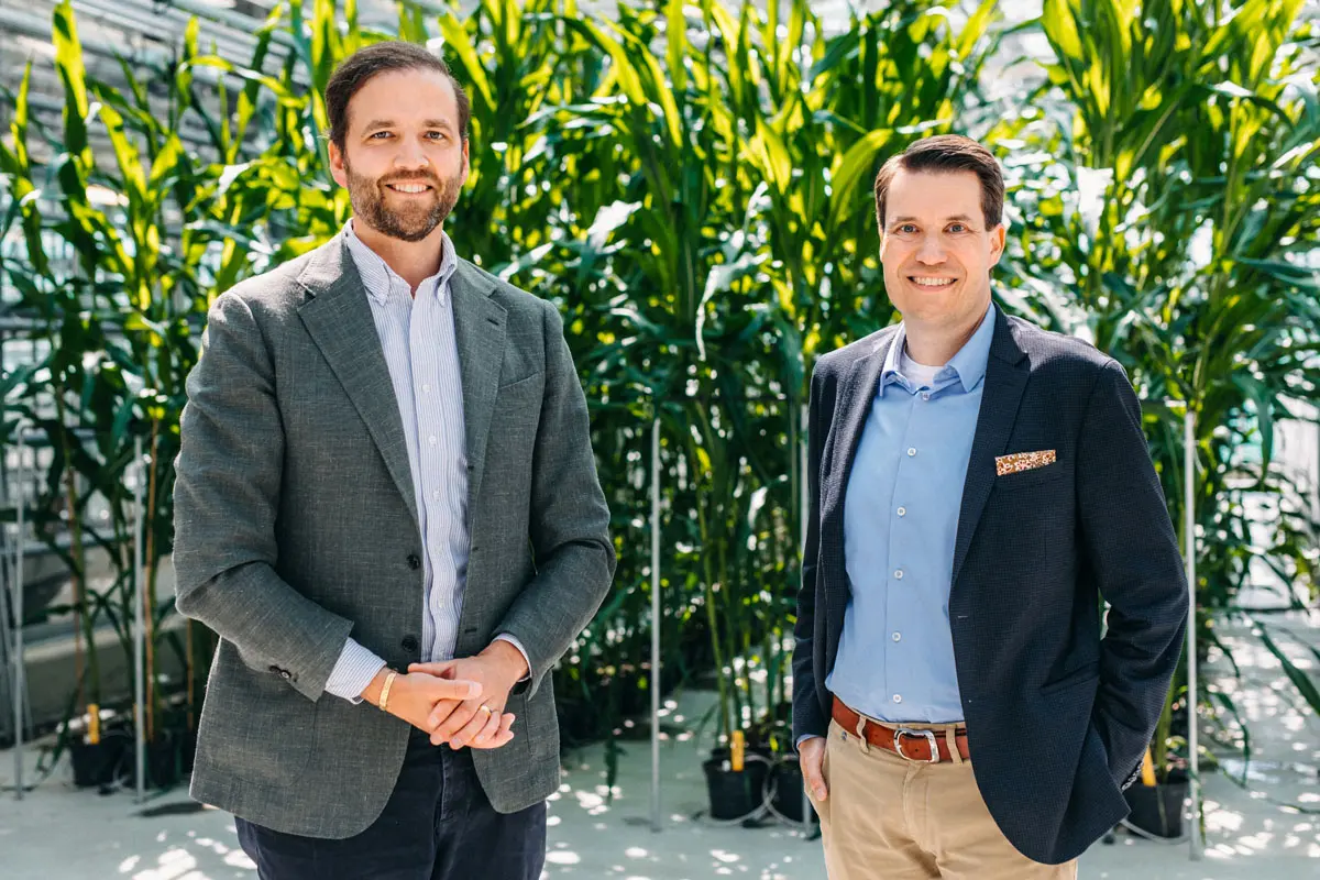 KWS – „Seeding the Future for Generations“: Vorreiter in nachhaltiger Saatgutproduktion