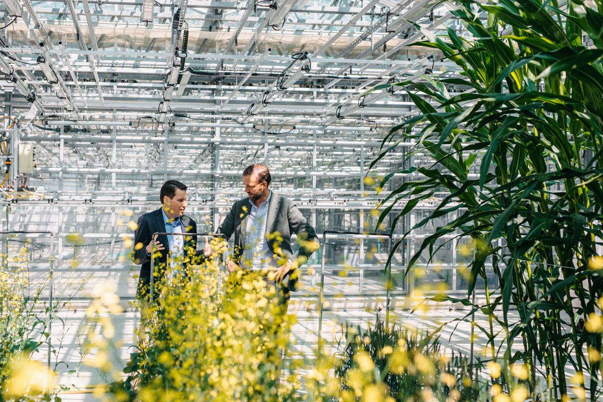 KWS – „Seeding the Future for Generations“: Vorreiter in nachhaltiger Saatgutproduktion