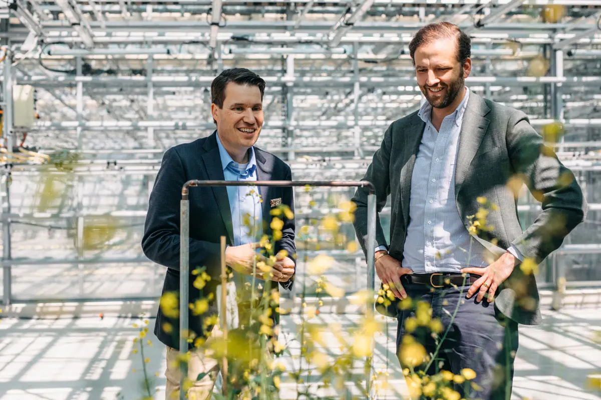 KWS – „Seeding the Future for Generations“: Vorreiter in nachhaltiger Saatgutproduktion